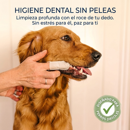 Dentea Lab™- Dedales Enzimáticos