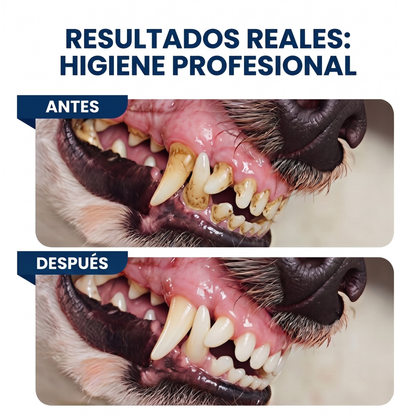 Dentea Lab™- Dedales Enzimáticos